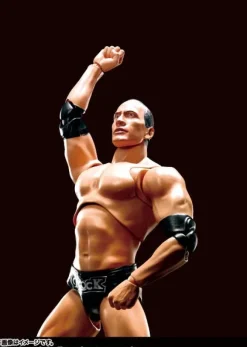 S.H.Figuarts The Rock