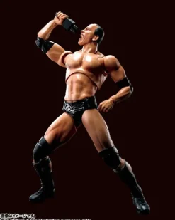 S.H.Figuarts The Rock