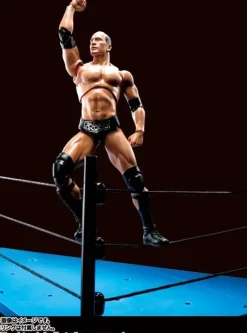 S.H.Figuarts The Rock