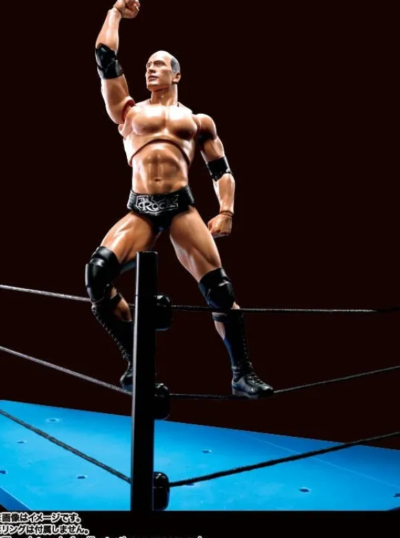 S.H.Figuarts The Rock