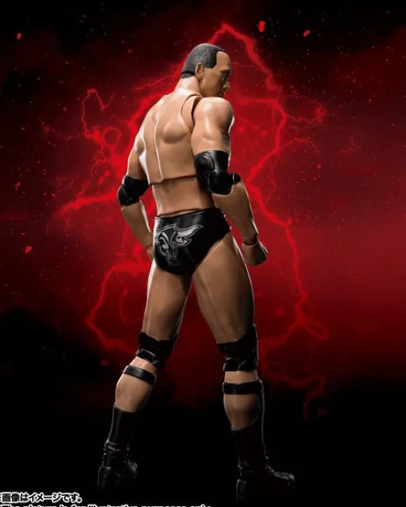 S.H.Figuarts The Rock