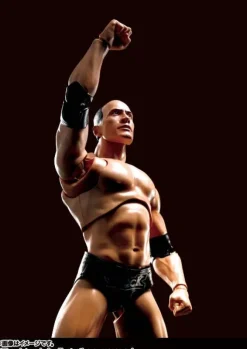 S.H.Figuarts The Rock