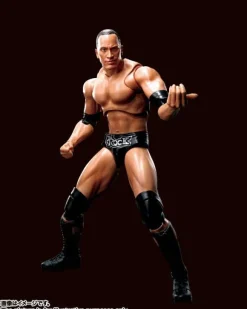 S.H.Figuarts The Rock
