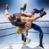 S.H.Figuarts Tiger The Dark